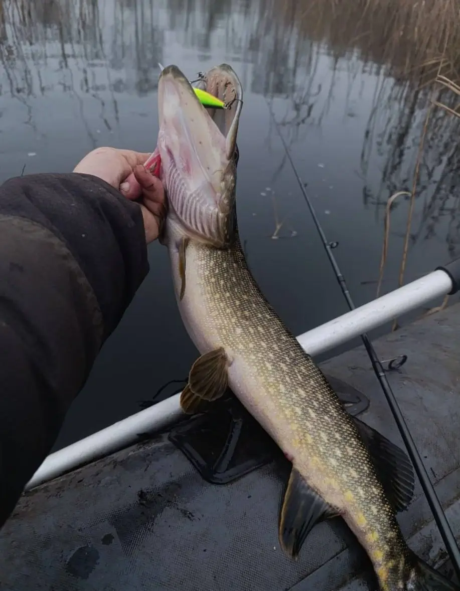 зимняя рыбалка щука