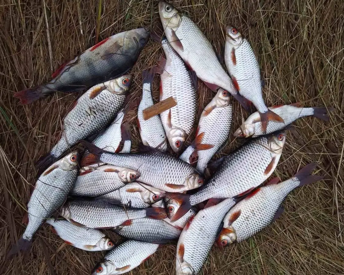 зимняя рыбалка